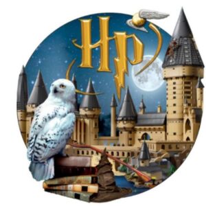 Lugar Americano Infantil 3D - 1 face - Harry Potter
