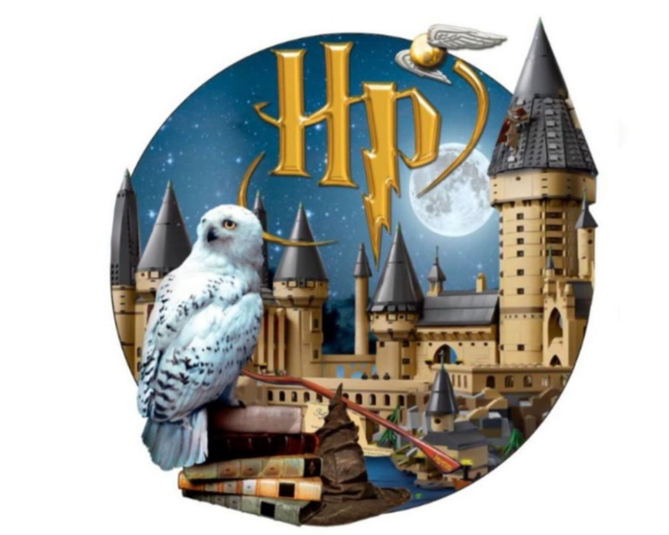 Lugar Americano Infantil 3D - 1 face - Harry Potter