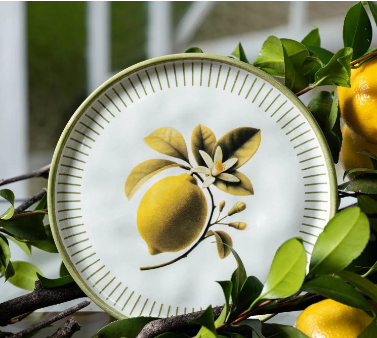 Prato sobremesa - Bio Lemon - Imagem 5